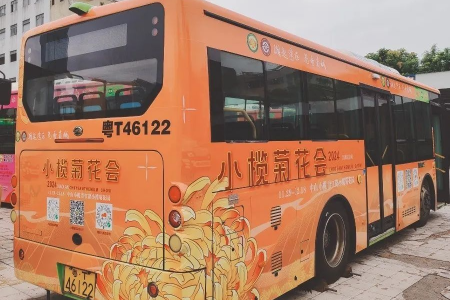 直达菊花园，中山小榄镇推出赏菊免费公交接驳专线