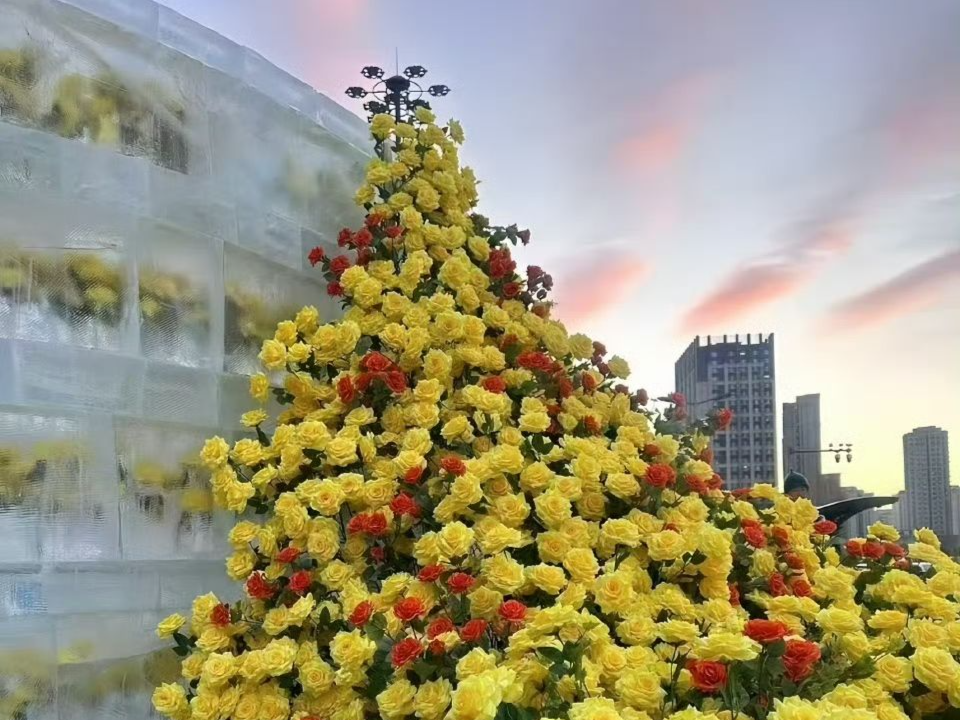 下午茶 | 冰封玫瑰2.0美上热搜，刘亦菲都说想去看！“尔滨”今年整新活→