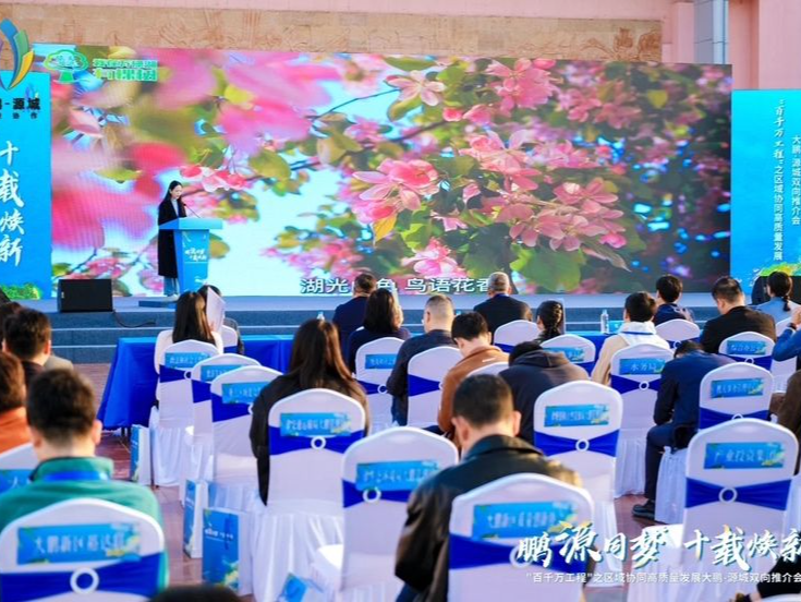 “百千万工程”之区域协同高质量发展大鹏-源城双向推介会举行