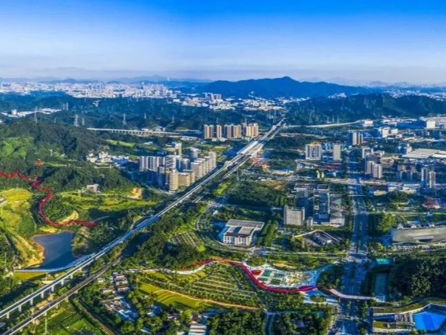 深圳一周丨各区书记区长在忙啥？（12月23日-12月29日）