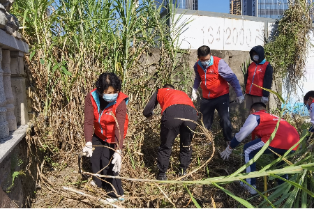 中山市石岐中心小学“党团队”齐出动！助力党建引领“百千万工程”百日攻坚行动