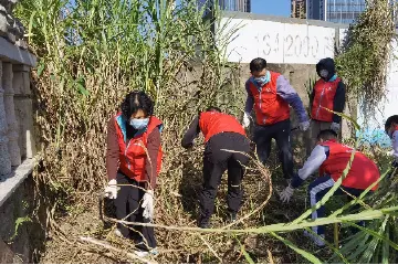 中山市石岐中心小学“党团队”齐出动！助力党建引领“百千万工程”百日攻坚行动