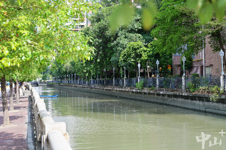 中山推动全流域“六污同治”，三年“治”出一江碧水