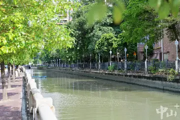 中山推动全流域“六污同治”，三年“治”出一江碧水