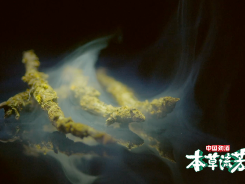 《本草流芳》：黄连之苦如何抚慰百味人生