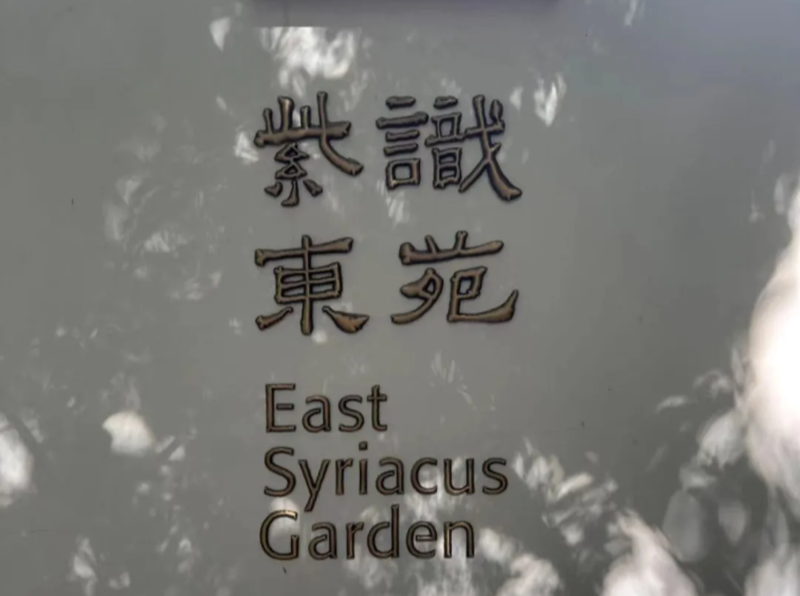 城中村突然出现一座静美白房子！原来这是个终身学习的好地方