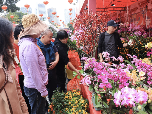 2025年爱国路迎春花市铺位月底开拍 新增萌宠、潮玩、文创专区