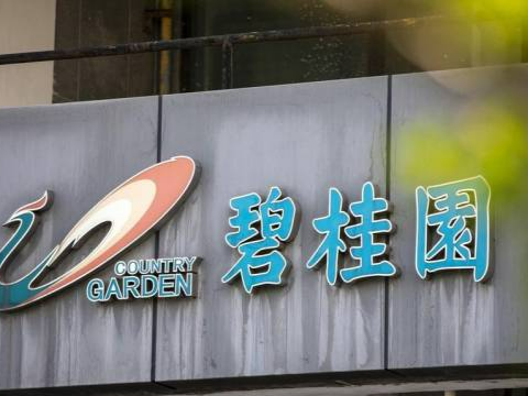 1.55亿元竞得兰州宅地，碧桂园回应