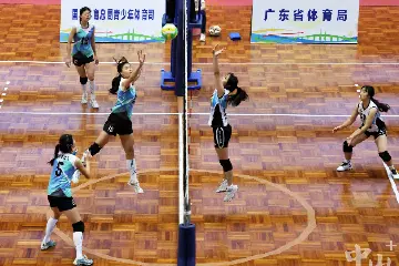 中山一中小组第一！直通粤港澳大湾区青少年（高中阶段）排球联赛总决赛