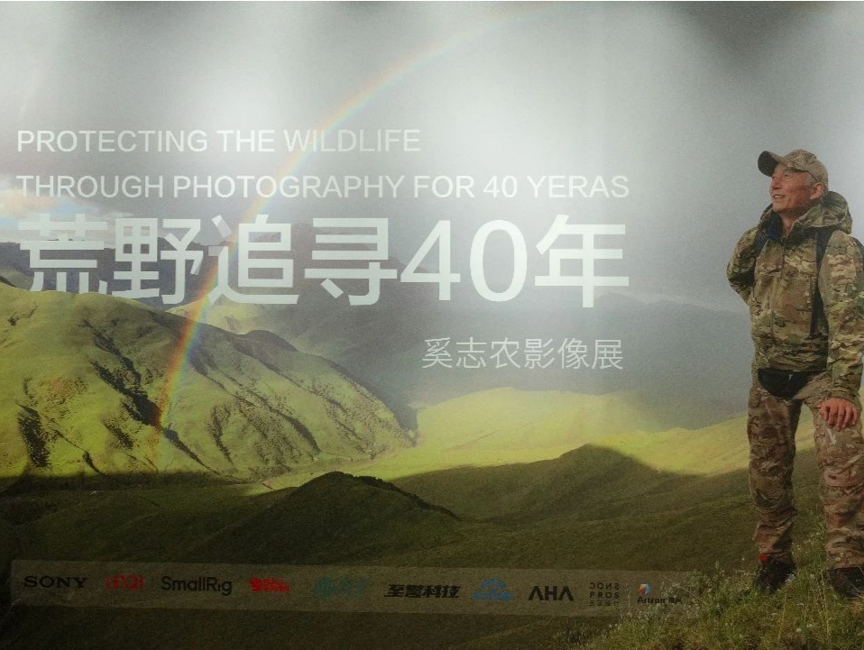 荒野追寻40年，他与野生动物的命运羁绊