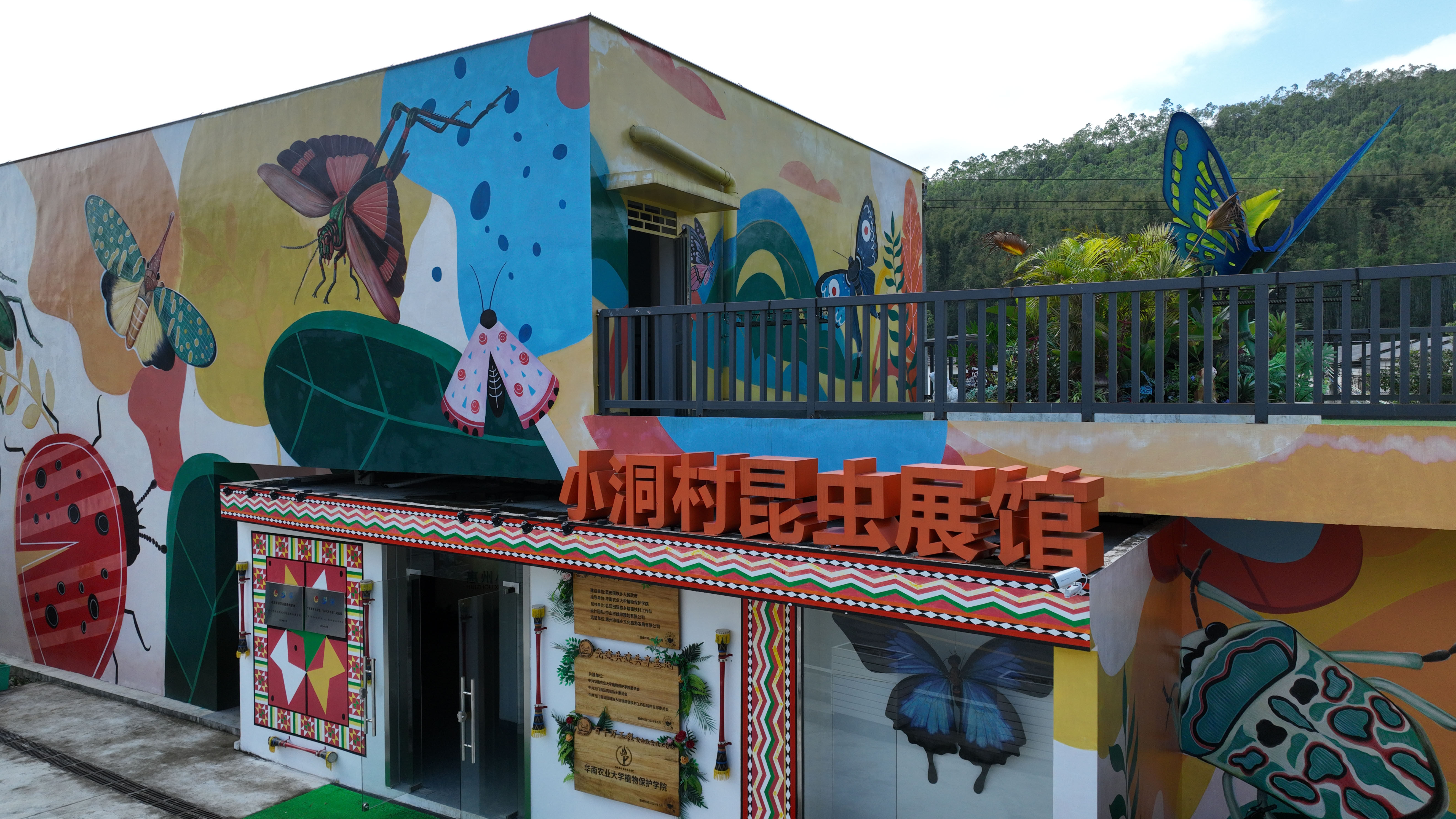 馆见惠州㉙ | 龙门蓝田瑶族乡小洞村昆虫科普展馆：馆藏8个世界之最昆虫标本