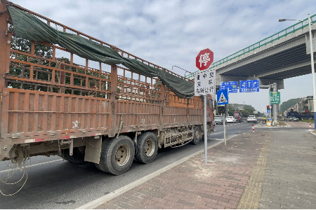 未按规定“右转必停”，342辆次大货车被罚丨综合环境大整治