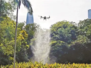 深圳公园管理有了空中队友
