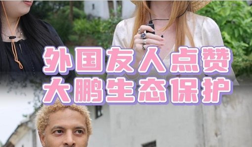 晶视频｜外国友人点赞大鹏生态保护