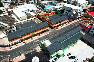 2025年南头花市时间定了！市民可在罐头艺术花园买年货看表演