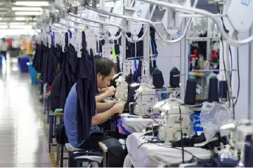 近1200家！澳门企业扎根中山“开枝散叶”｜山水连岐澳 共筑湾区梦