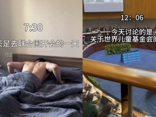 “假名媛”扎堆去联合国“开会”？更多详情曝光，尴尬了......