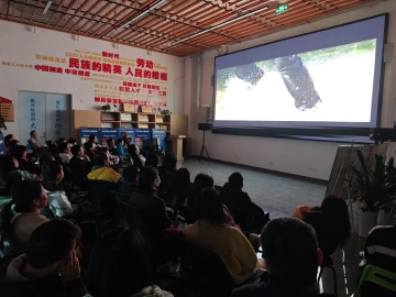 宝安光影盛宴进社区，万人共赴视听之旅