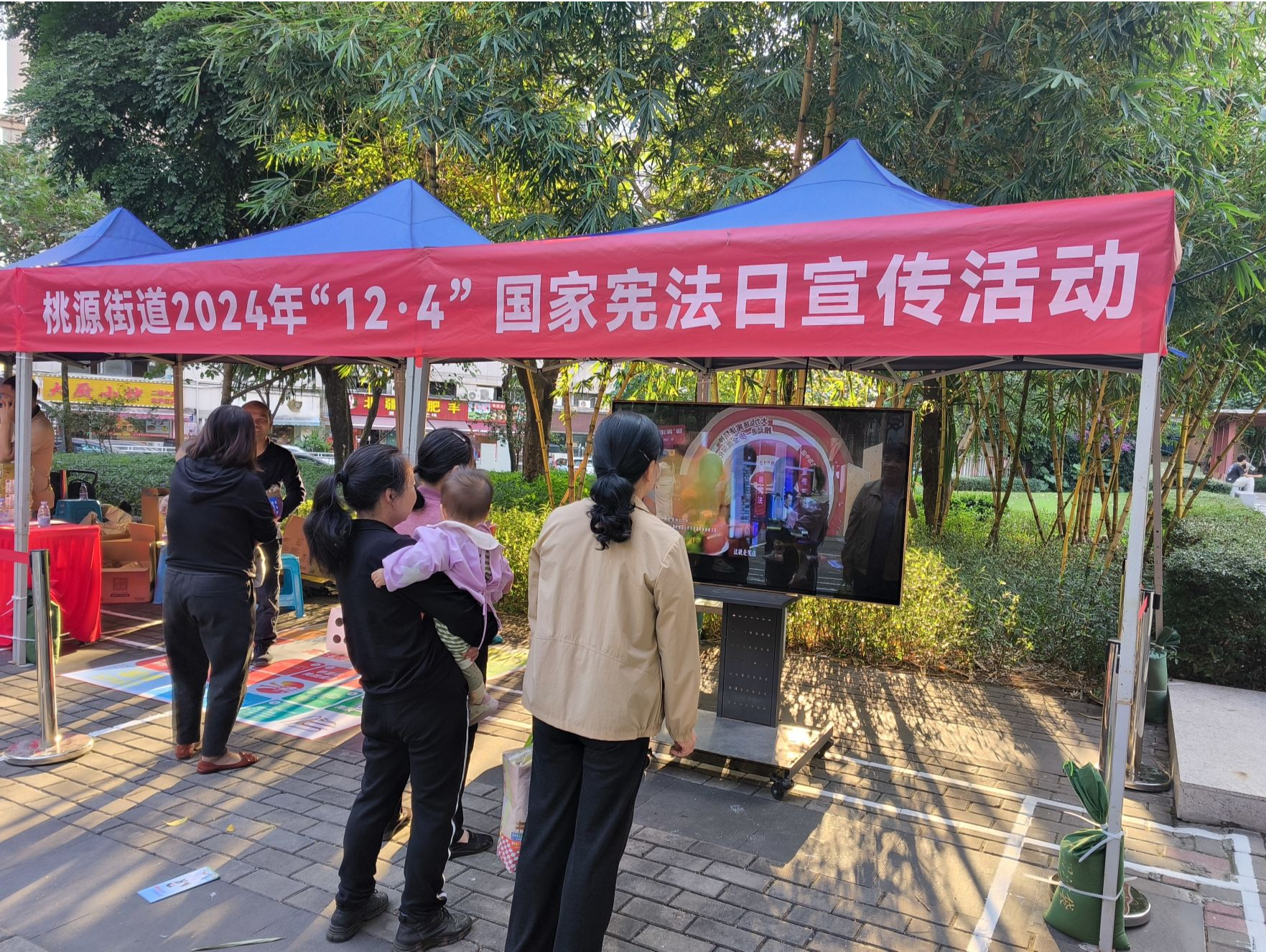 桃源街道开展“12·4”国家宪法日宣传活动