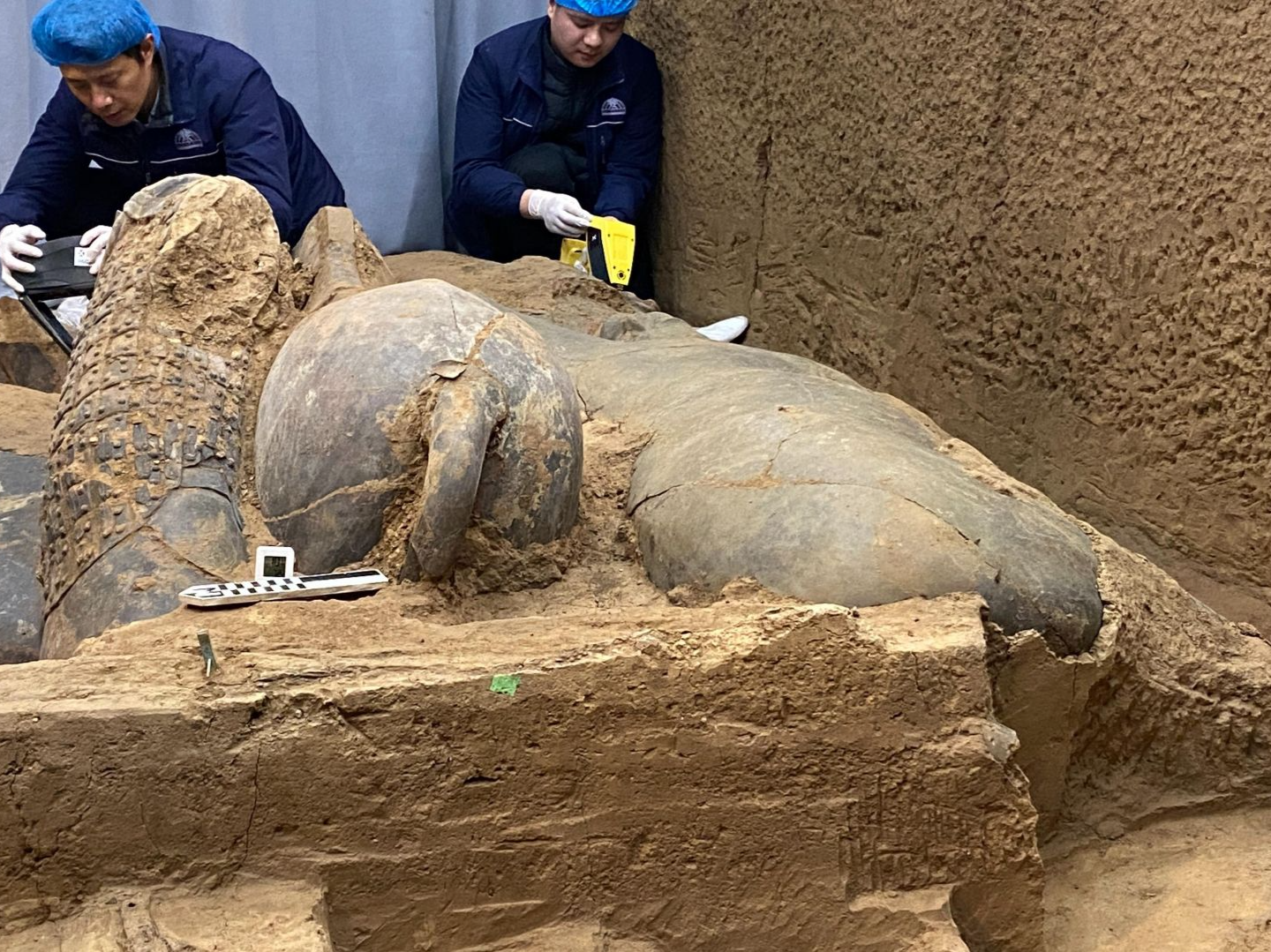 秦兵马俑考古新进展！二号坑发现两处战车遗迹和三名“车兵”俑
