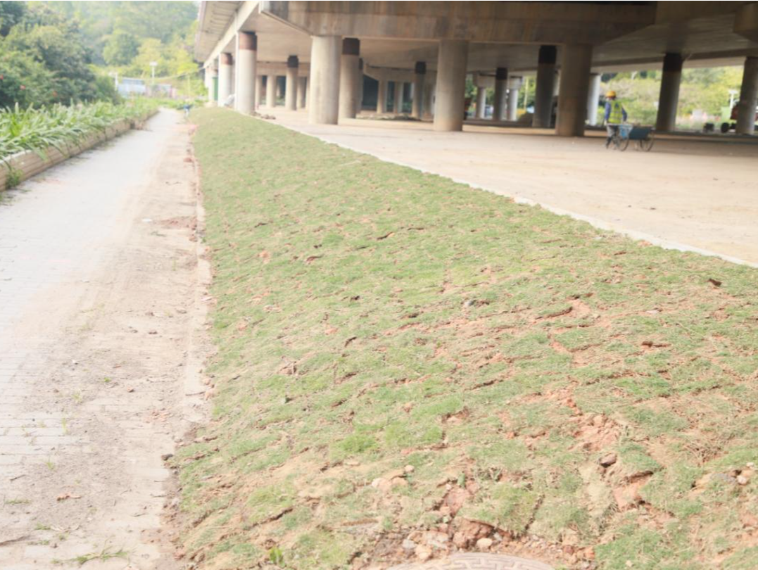 桥下停车场建设进度如何了？人大龙田街道工委开展视察调研