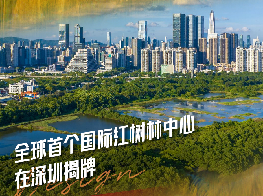 精彩不断！全球视野！11月创新创意事件助打造城市名片