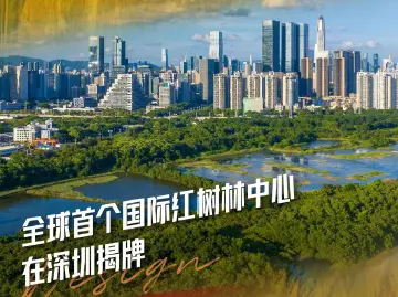 精彩不断！全球视野！11月创新创意事件助打造城市名片