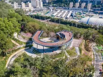 千园春景如画，八方游客如织！深圳1320座公园人气爆棚成为过节打卡首选地