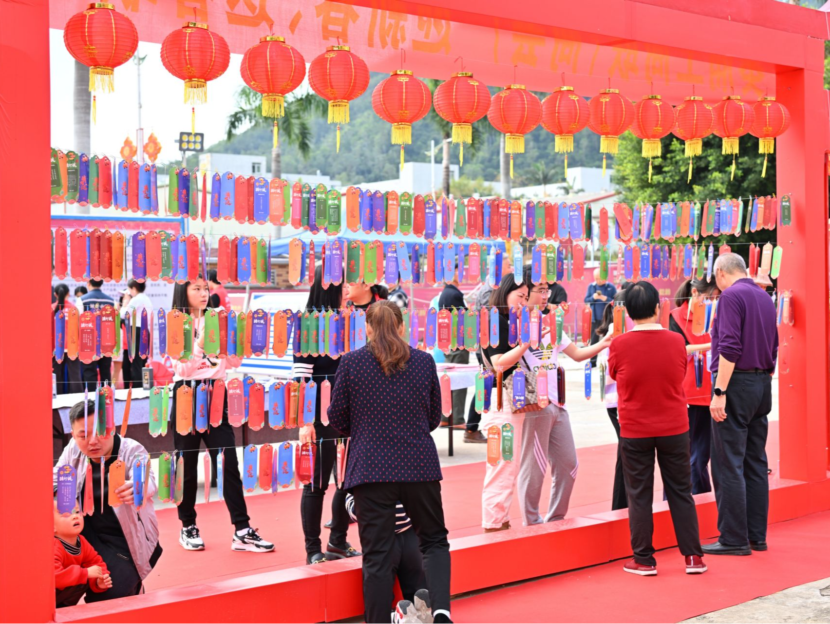2025年大鹏新区迎春花市来了！