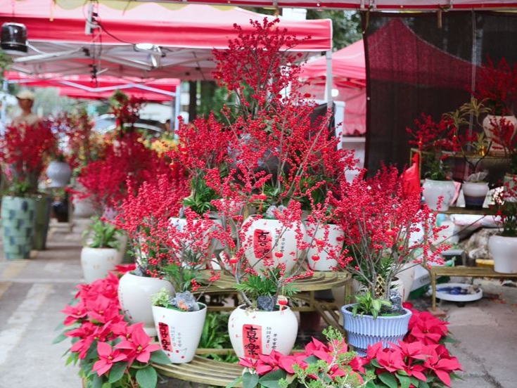 行花街逛花市，快来八卦岭把年味“批发”带回家！