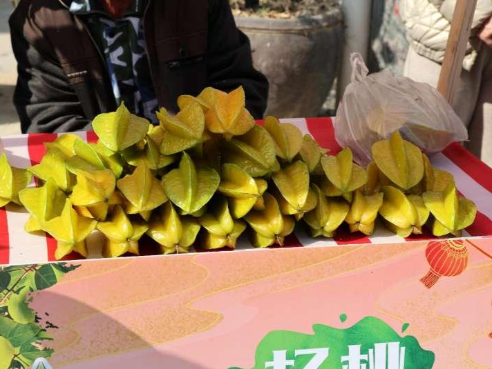 潮州湘桥区举办杨桃文化旅游美食周，吸引八方来客带动“串门消费”