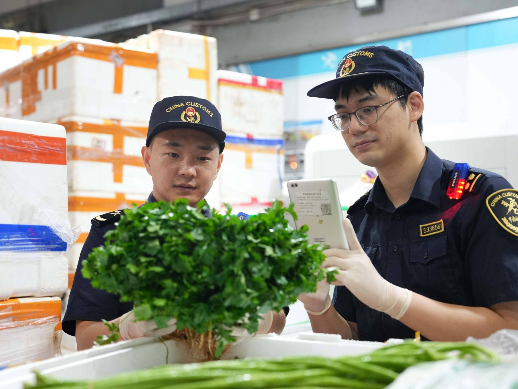 文锦渡口岸：保障鲜活产品稳定供港