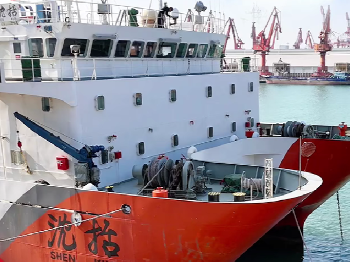 勇立潮头大湾区 | 探海洋奥秘 深圳新春游妙趣横生