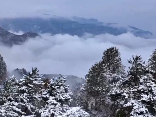 @所有人，2025首场寒潮春节前来袭！春运高峰期还将遇上大范围雨雪