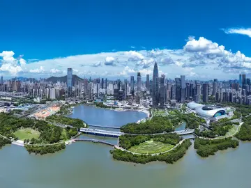 快评丨创新是深圳发展的原动力