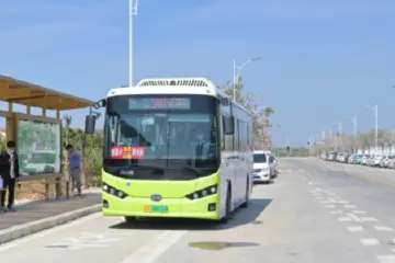 需线上购票预约！T92、D005两路公交调整