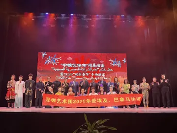 深圳艺术闪耀中埃国际交流舞台获赞誉
