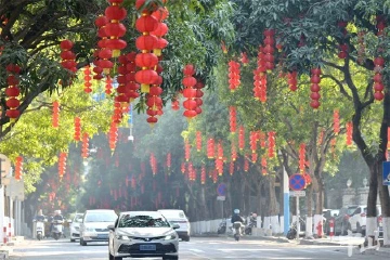 图集｜张灯结彩迎新春