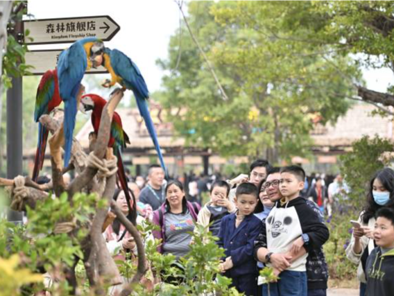 春节假期首日，广东4A级及以上景区接待游客135.9万人次