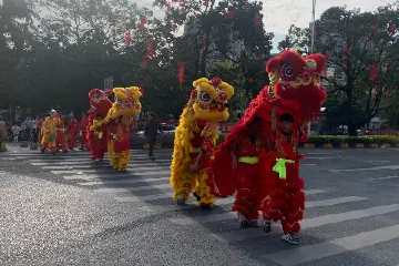 龙狮欢腾贺新春，中山港口镇醒狮贺岁巡游拉满氛围感 | 新春走基层