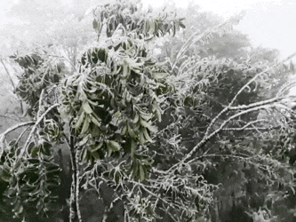 注意防范！今年来最大范围雨雪下周上线