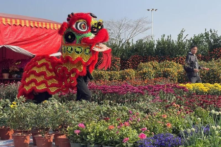 配备800个停车位！南朗迎春花市已开市