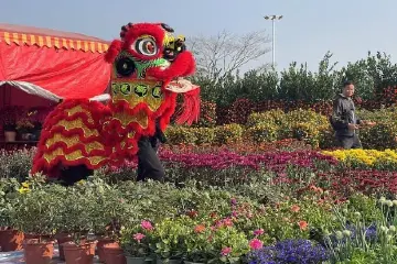 配备800个停车位！南朗迎春花市已开市