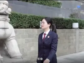 《如我在诉》