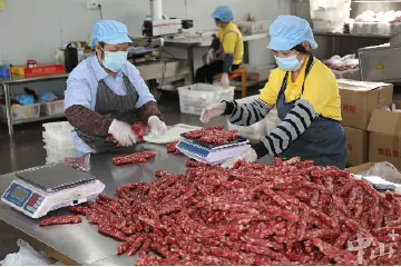 黄圃腊味飘香年味浓，企业鼓足干劲忙产销｜新春走基层