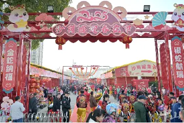 邂逅“花样”年味！2025年沙岗墟迎春花市开市