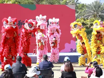 春节八天乐 公园过大年！2025深圳公园文化季启幕