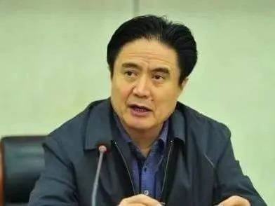十三届全国人大华侨委员会副主任委员罗保铭被开除党籍