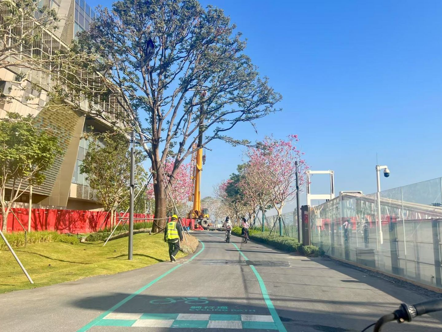 城管部门回应：深圳西部滨海骑行道断点已恢复骑行 | 城市环境卫生随手拍