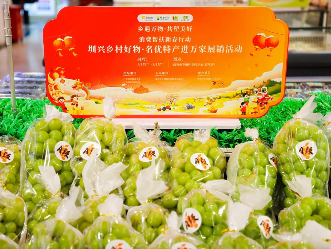 “圳兴乡村好物”·名优特产进万家展销活动在深启动